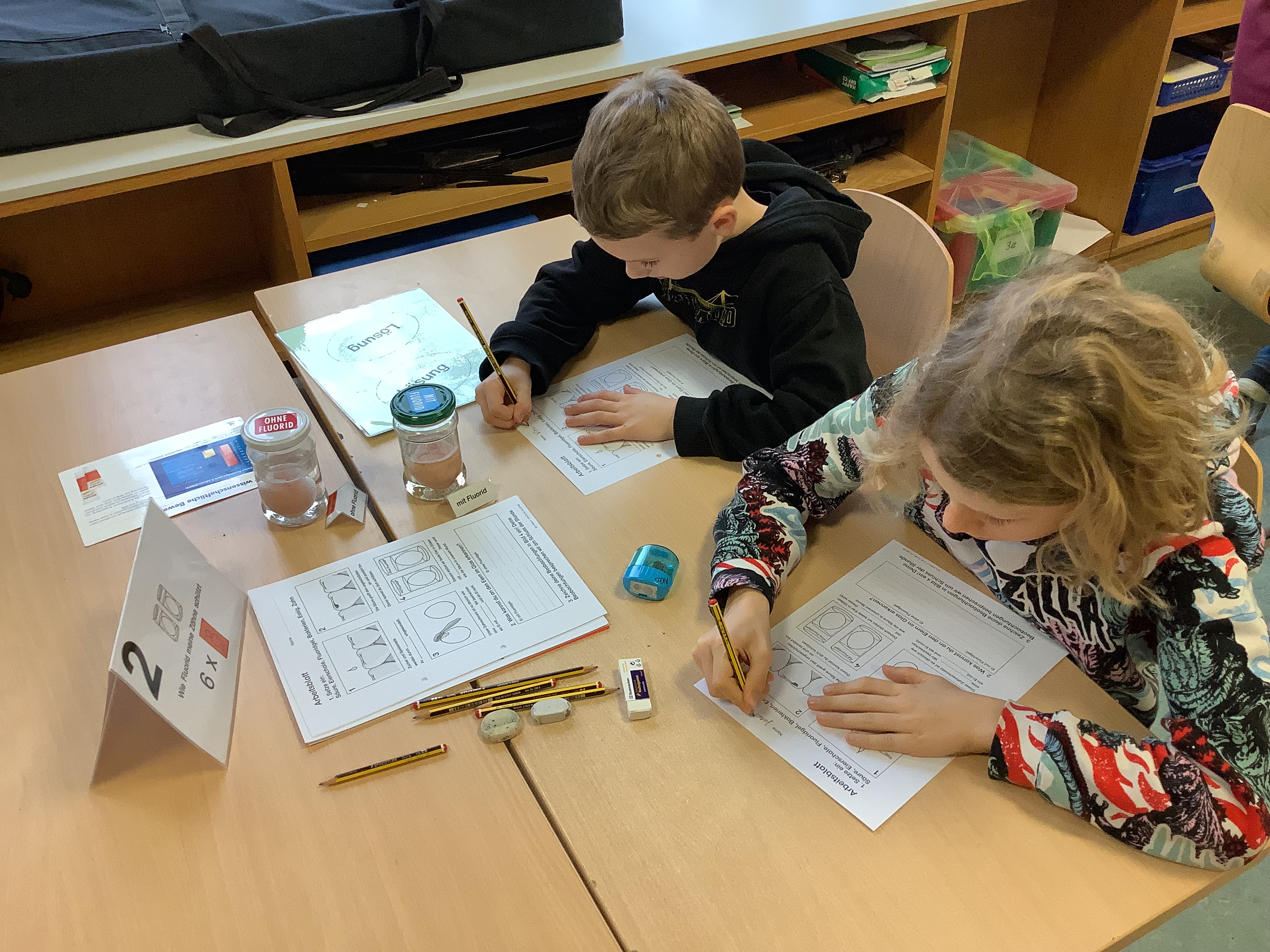 Versuch zur Wirksamkeit von Fluorid